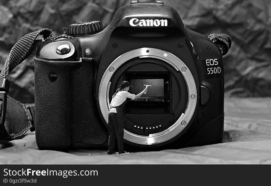 Camera, Digital Camera, Single Lens Reflex Camera, Cameras & Optics