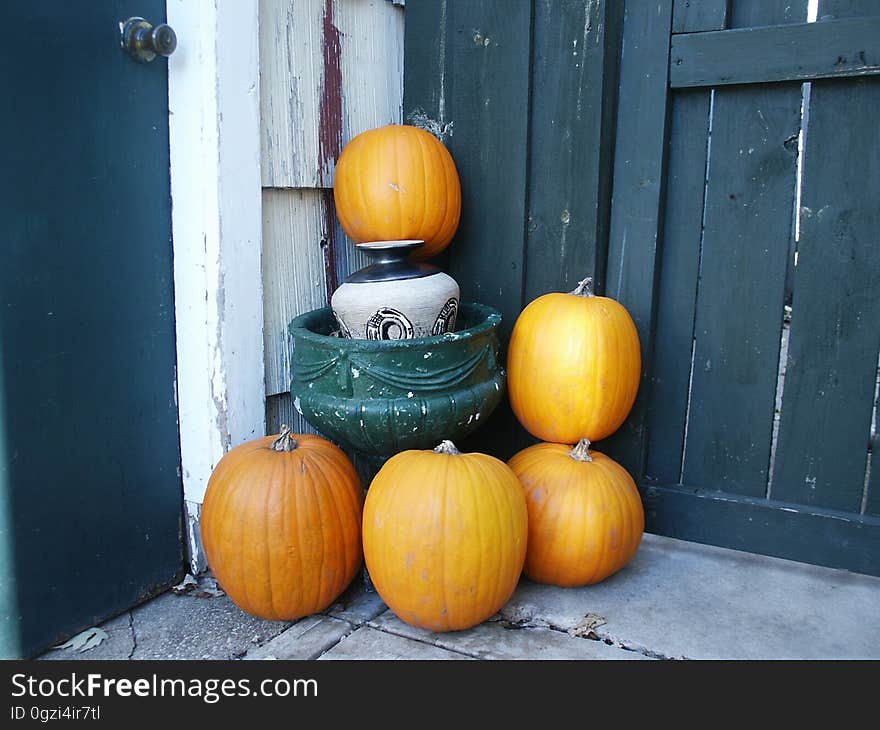 Pumpkin, Cucurbita, Winter Squash, Calabaza