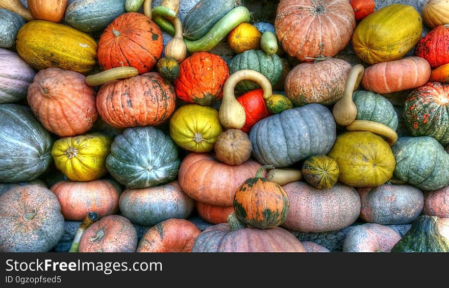 Green Orange and Yellow Pumpkins