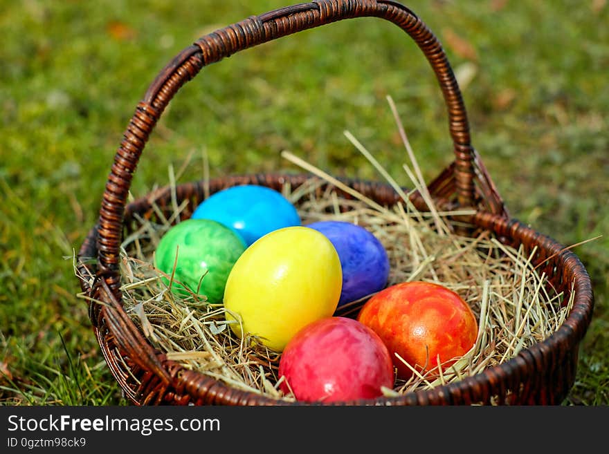 Easter Egg, Grass, Easter, Egg