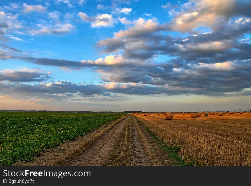 Sky, Field, Cloud, Crop