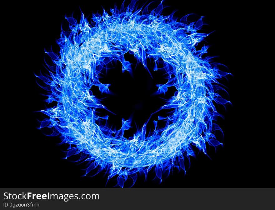 Fractal Art, Electric Blue, Organism, Special Effects