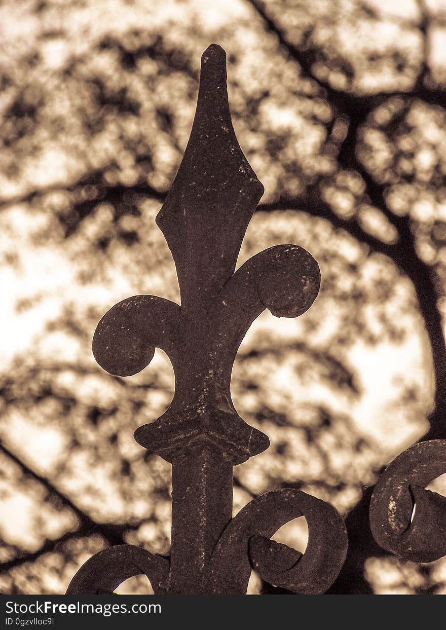 Tree, Metal, Cross, Black And White