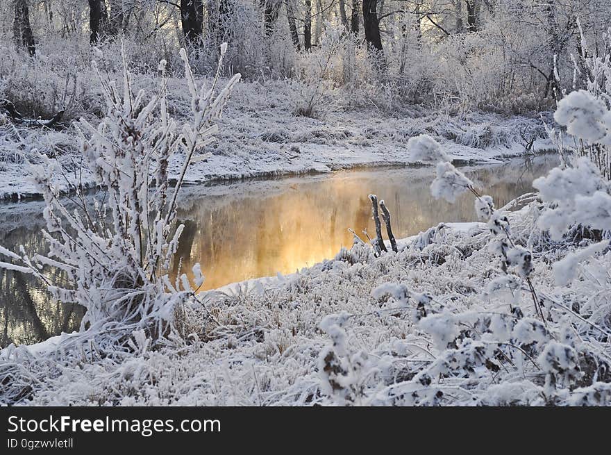 Snow, Winter, Freezing, Frost