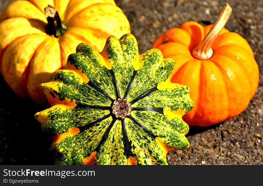 Winter Squash, Vegetable, Cucurbita, Calabaza