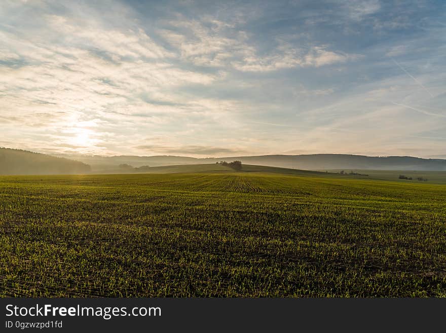 Sky, Field, Grassland, Plain