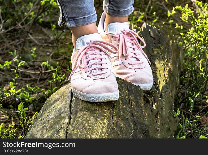 Footwear, Shoe, Grass, Tree