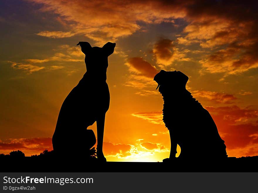 Sky, Silhouette, Sunrise, Sunset