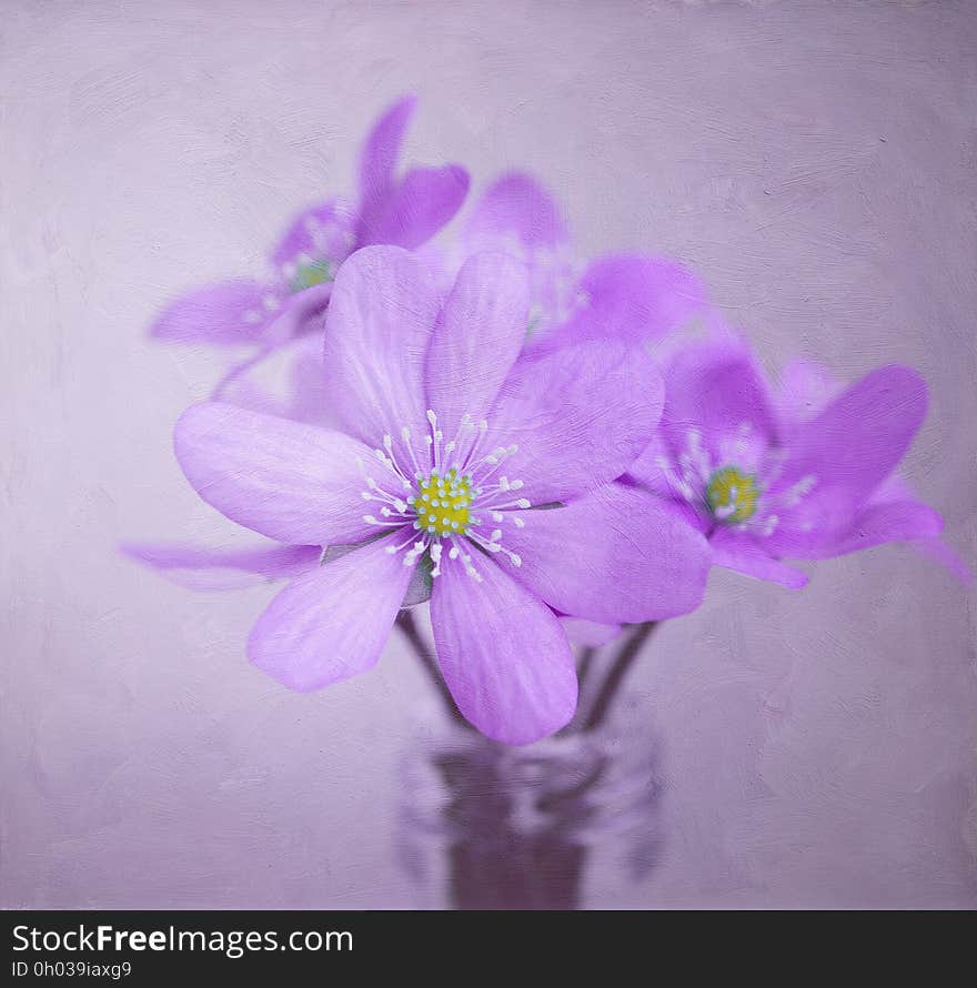 Close up of purple violets in vase with soft focus. Close up of purple violets in vase with soft focus