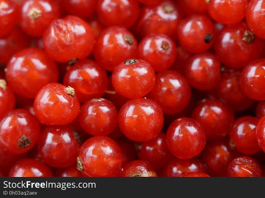 Red Round Small Fruit