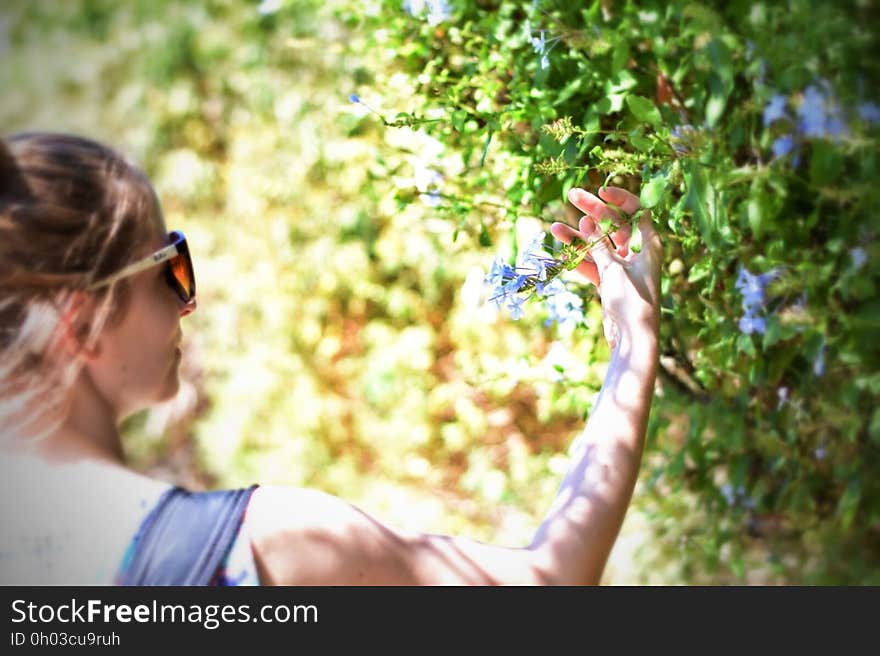 A woman looking at a flower in a hedge. A woman looking at a flower in a hedge.