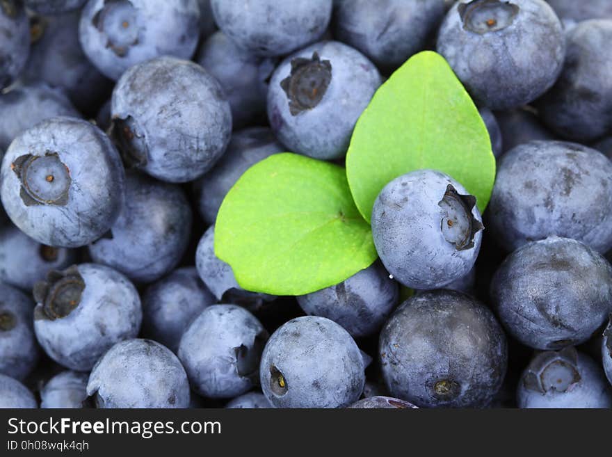 Fruit, Blueberry, Food, Produce