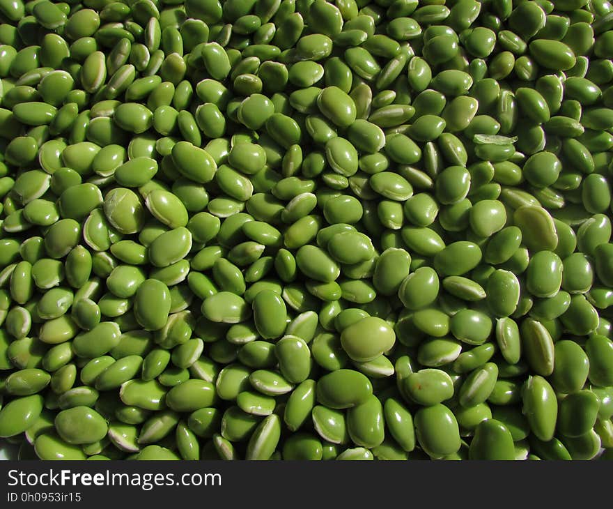 Bean, Lima Bean, Ingredient, Commodity