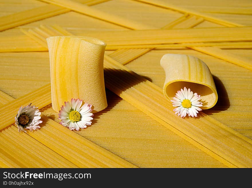 Yellow, Flower, Still Life Photography