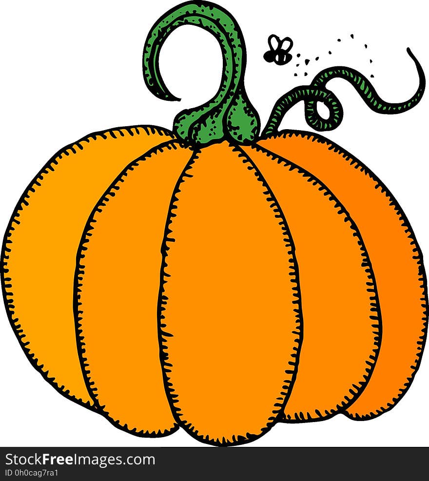 Pumpkin, Produce, Clip Art, Cucurbita