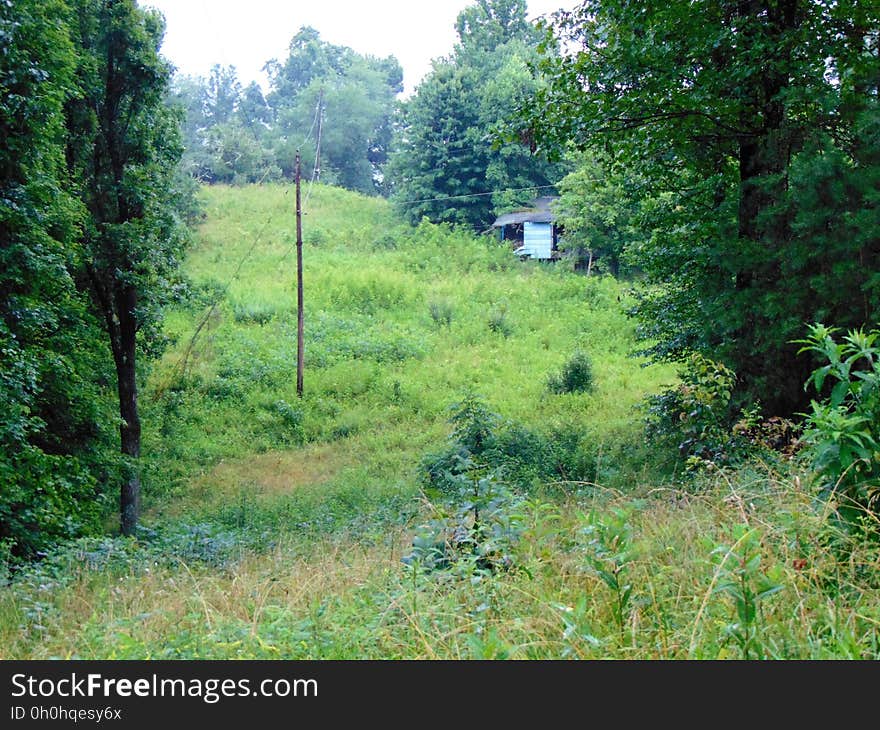 Abandoned House in West Virginia Mountains