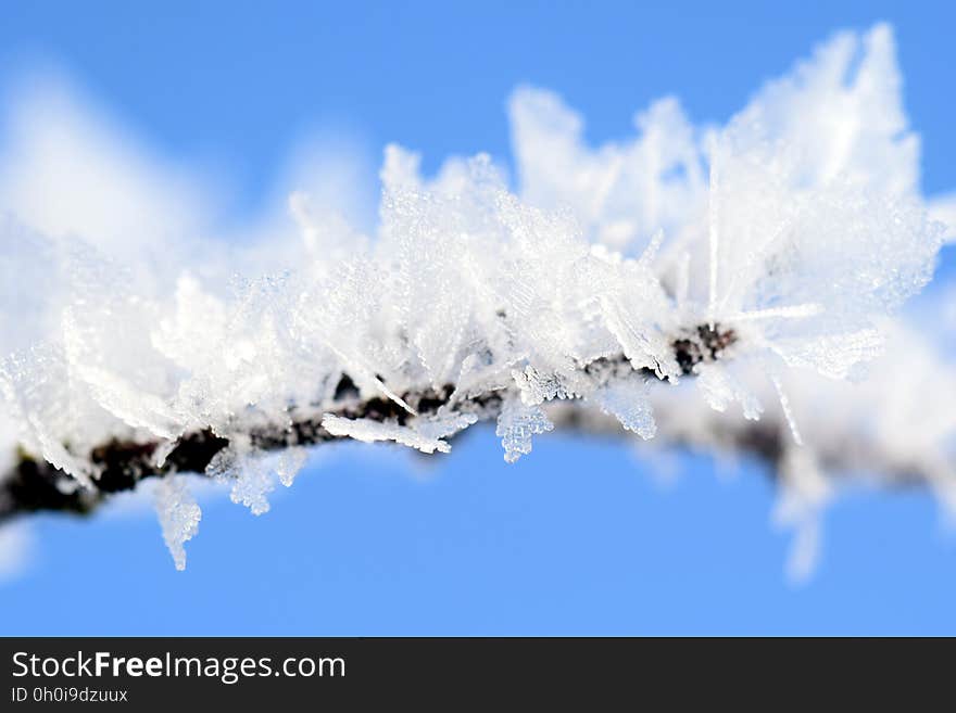 Close-up of Frozen Tree Branch Against Blue Sky