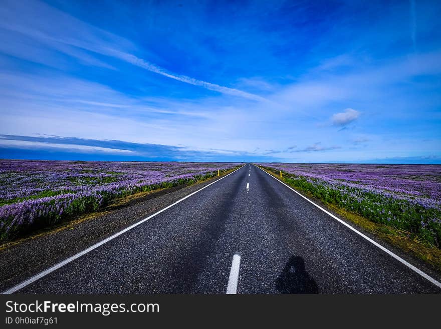 A highway passing through a heathland. A highway passing through a heathland.