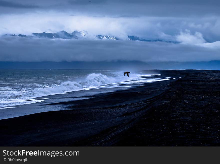 Bird flying over waves on waterfront with dark stormy skies. Bird flying over waves on waterfront with dark stormy skies.