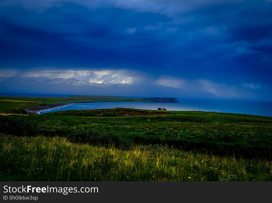 Pasture land leading to the sea which is either a narrow bay or a river estuary with brooding clouds overhead and flash of light brightening the fields. Pasture land leading to the sea which is either a narrow bay or a river estuary with brooding clouds overhead and flash of light brightening the fields.