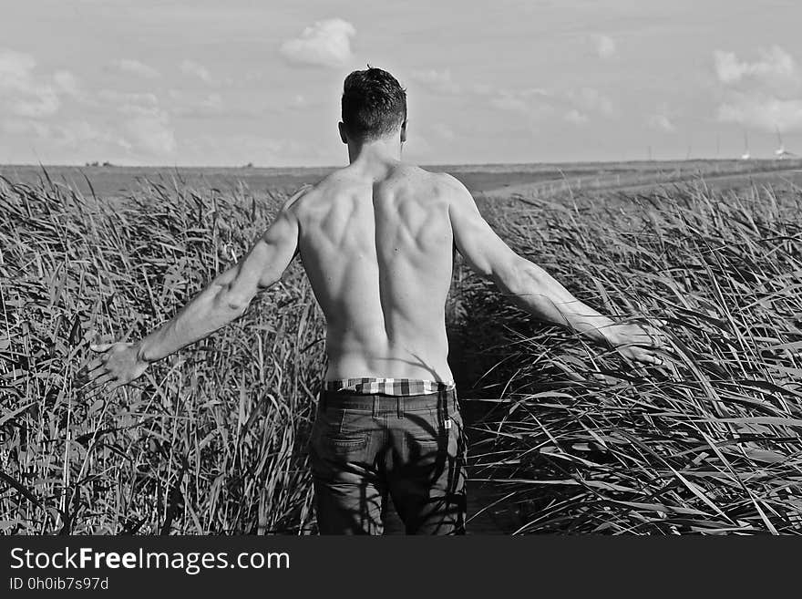 Farmer dressed only in shorts arms extended checking his cereal crop for pests or for proximity to harvest,. Farmer dressed only in shorts arms extended checking his cereal crop for pests or for proximity to harvest,.