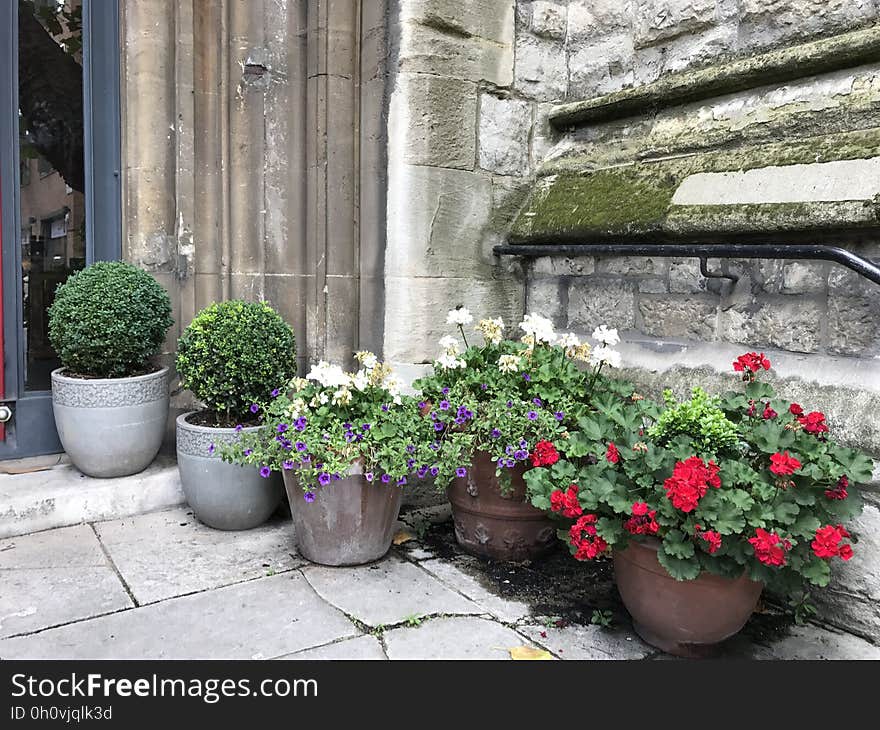 Flower pots with potted flowers next to a stone wall. Flower pots with potted flowers next to a stone wall.