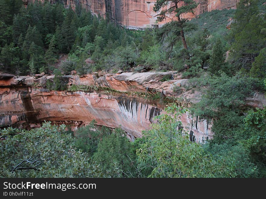 A view of rock cliffs in a forest. A view of rock cliffs in a forest.