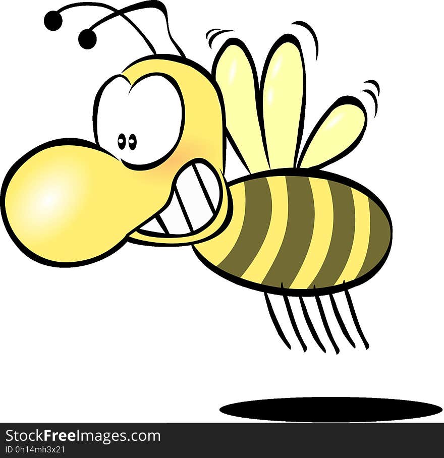 Yellow, Invertebrate, Honey Bee, Membrane Winged Insect