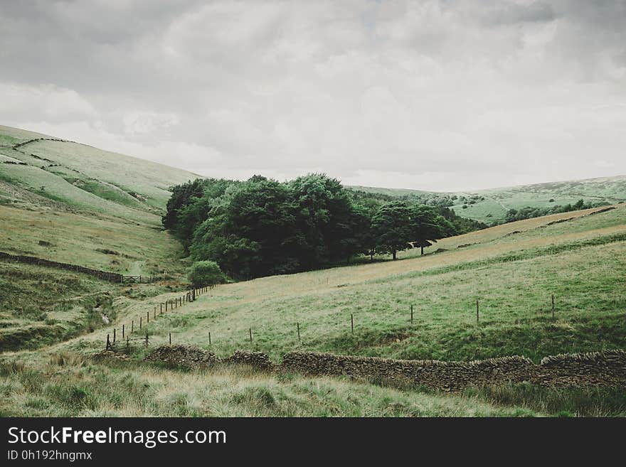 A small forest in a valley between green fields. A small forest in a valley between green fields.