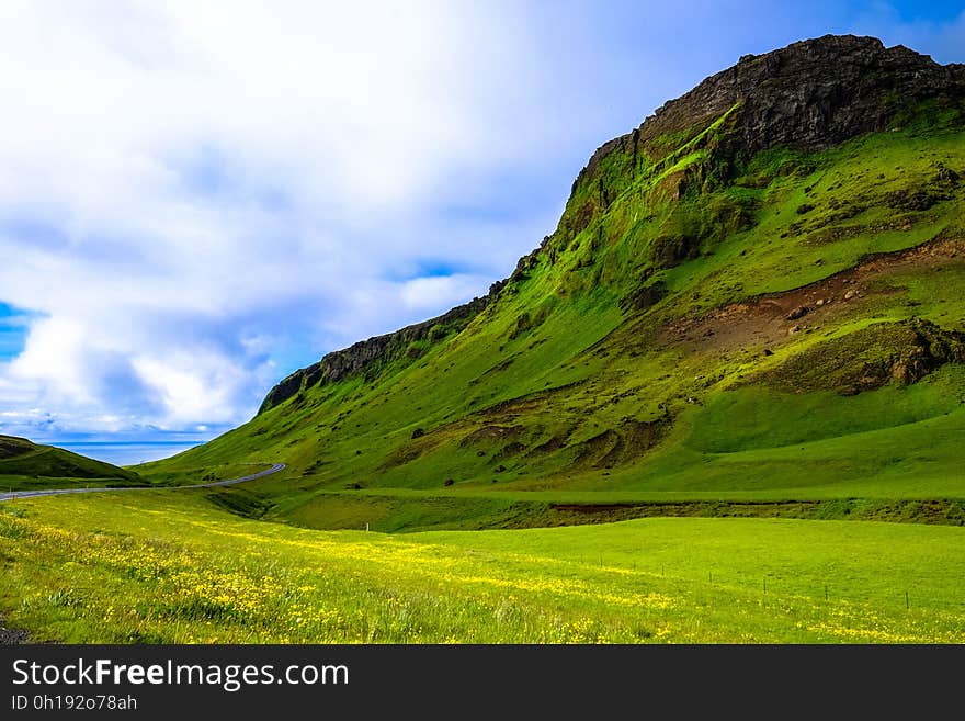 Green meadow covering hillside on sunny day. Green meadow covering hillside on sunny day.