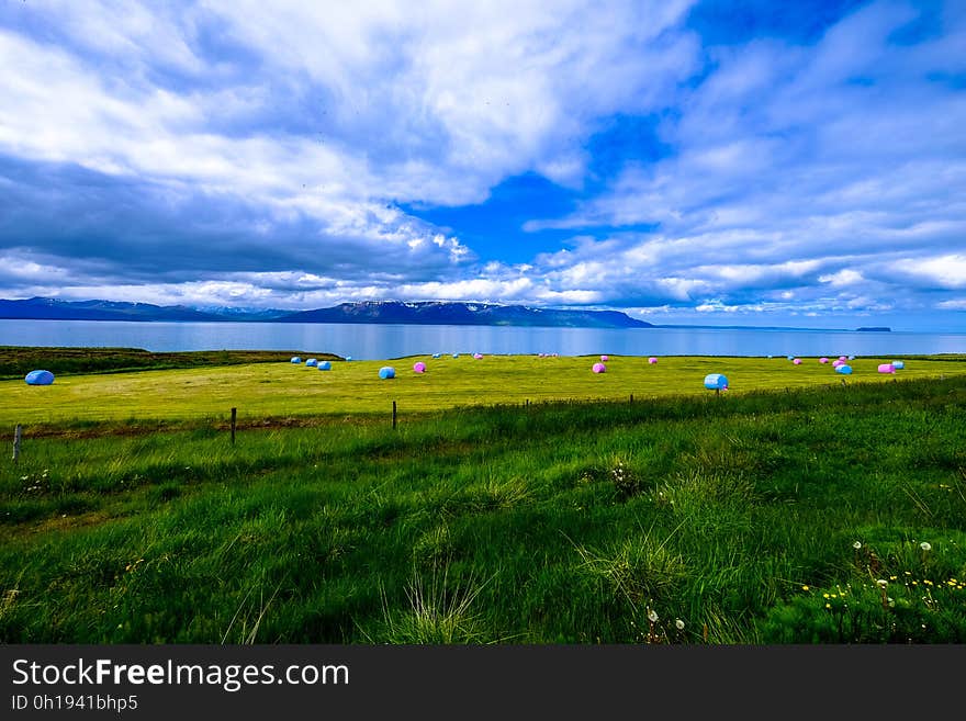 A green field on the coast and clouds above it. A green field on the coast and clouds above it.