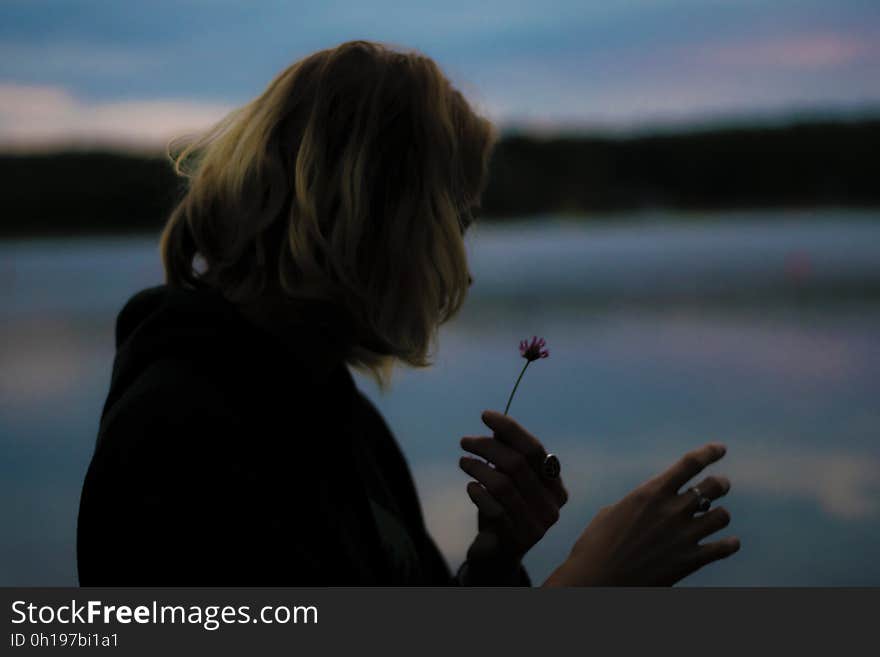 A girl looking at a flower on the shore of a lake. A girl looking at a flower on the shore of a lake.