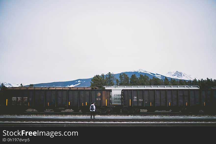 A railway depot with cargo trains and a mountain range in the distance. A railway depot with cargo trains and a mountain range in the distance.