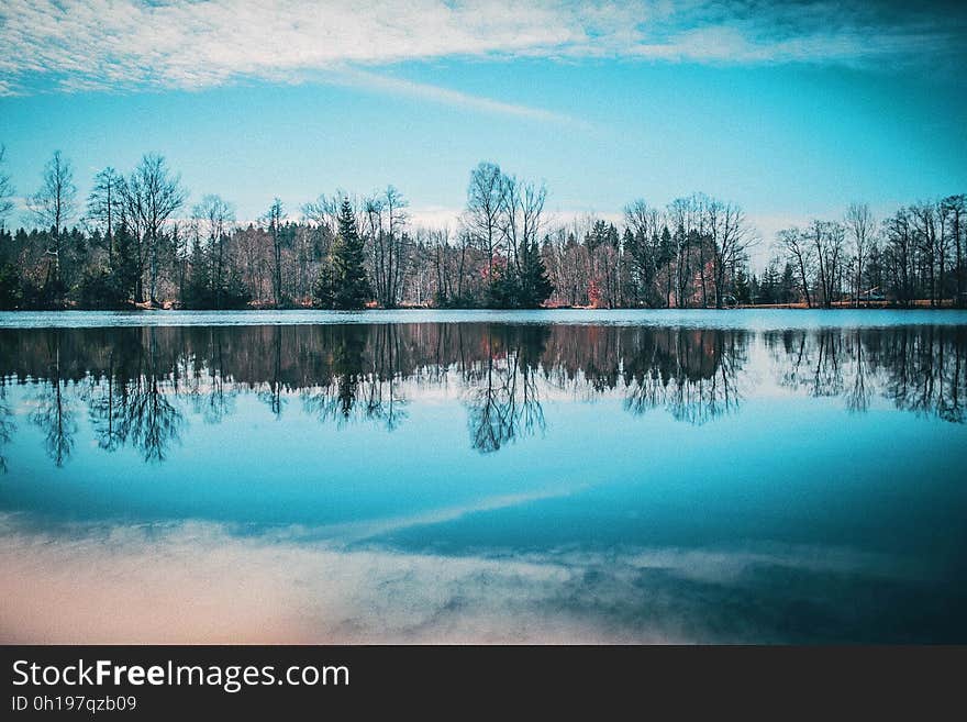 Reflection of the sky and trees on the surface of a lake. Reflection of the sky and trees on the surface of a lake.