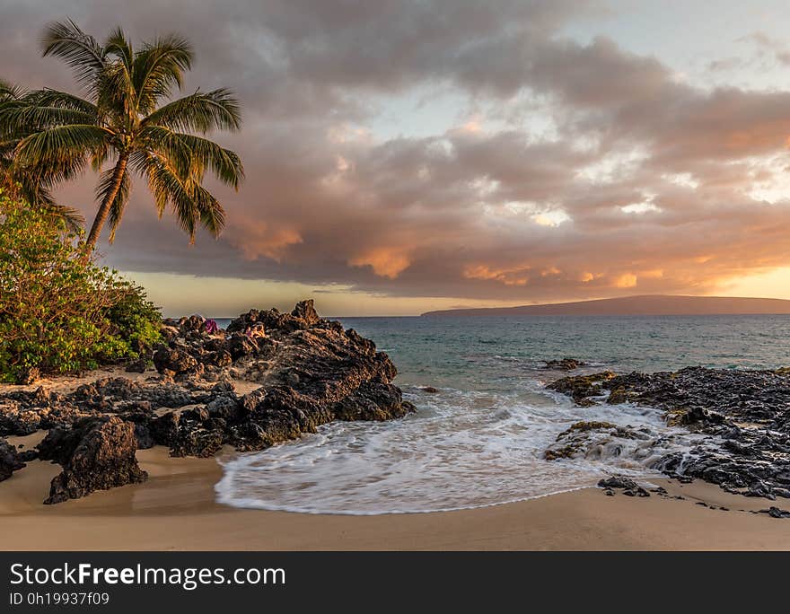 Island with palm trees beside the beach surrounded by blue sea viewed at sunset with a golden glow. Island with palm trees beside the beach surrounded by blue sea viewed at sunset with a golden glow.