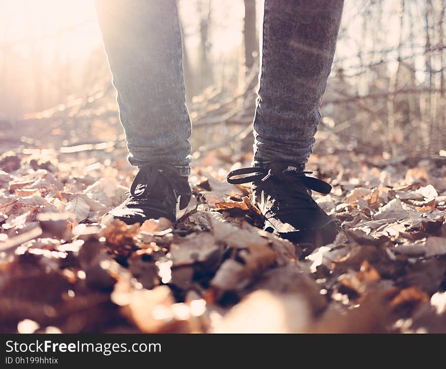 A man walking in the forest with fallen autumn leaves. A man walking in the forest with fallen autumn leaves.