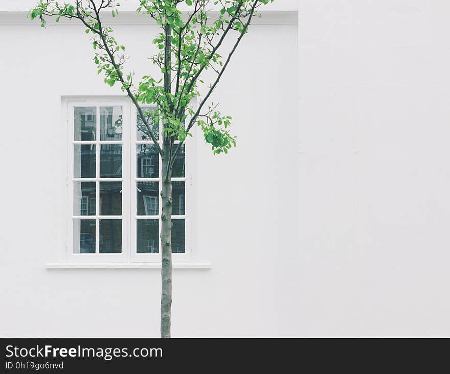 White Wooden Side by Side Window Frame