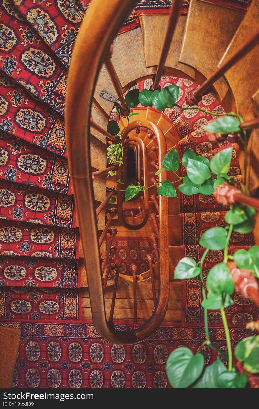 Red Beige and Blue Stairs Carpet