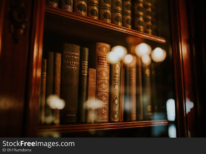 Assorted Books in Bookshelf