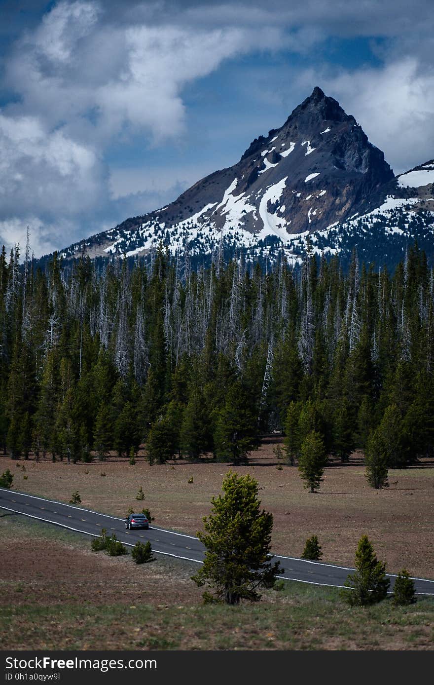 Gray Car on Gray Road Near Forest Under Blue Sky