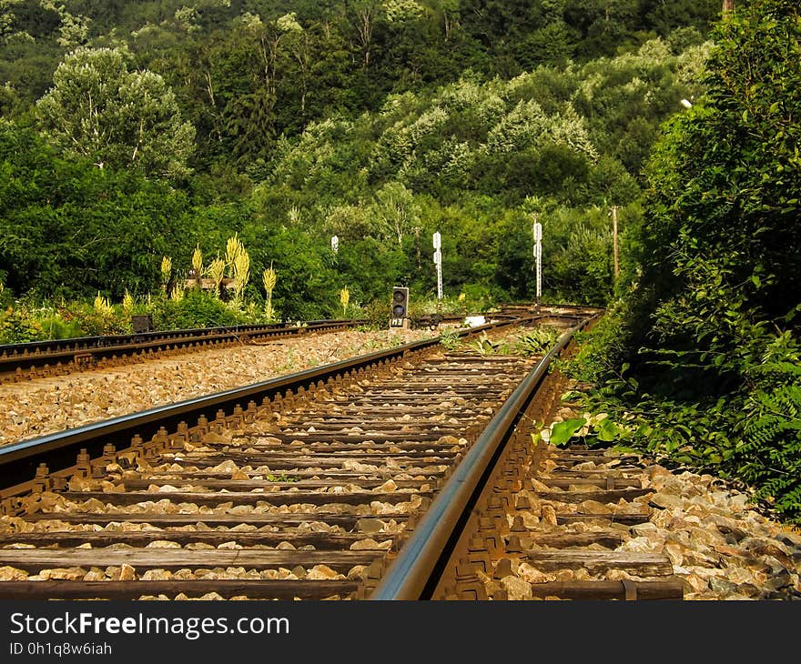 The railroad from Birnova belongs to the M600 who links Moldova to the capital. The railroad from Birnova belongs to the M600 who links Moldova to the capital.