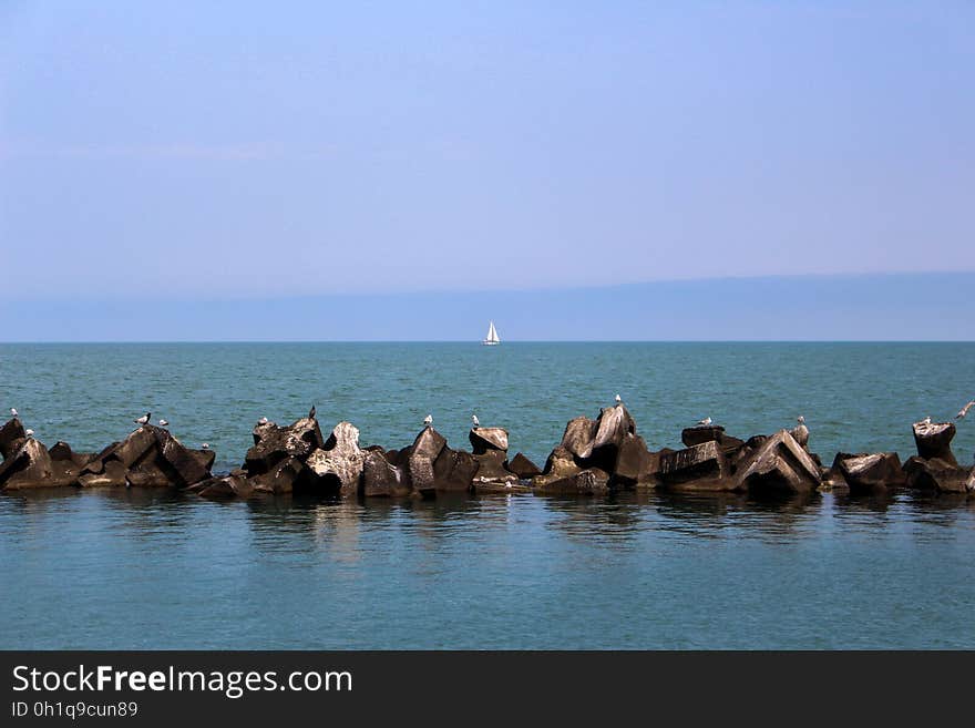 Black sea, yacht, gulls and cormorants