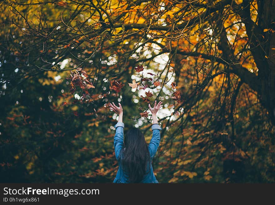 Woman in Blue Denim Jacket