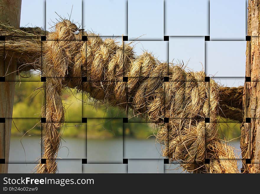 Straw, Tree, Grass Family, Rope