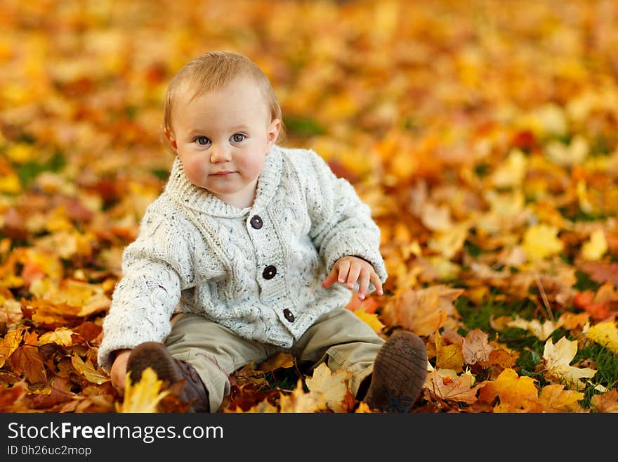 Leaf, Autumn, Child, Yellow