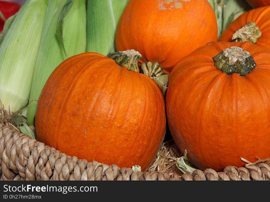 Vegetable, Winter Squash, Calabaza, Cucurbita