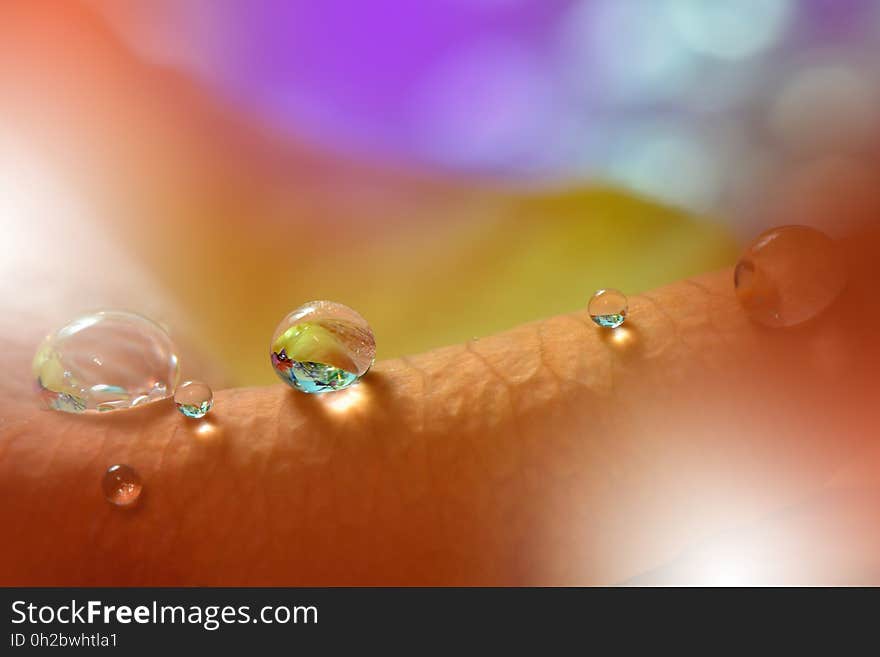 Abstract macro photo with water drops. Artistic Background for desktop. Abstract macro photo with water drops. Artistic Background for desktop.