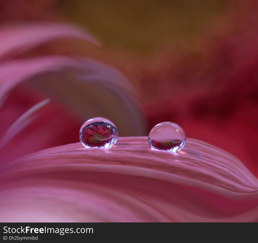 Abstract macro photo with water drops. Artistic Background for desktop.Tranquil abstract closeup art background.Beautiful Nature. Abstract macro photo with water drops. Artistic Background for desktop.Tranquil abstract closeup art background.Beautiful Nature.