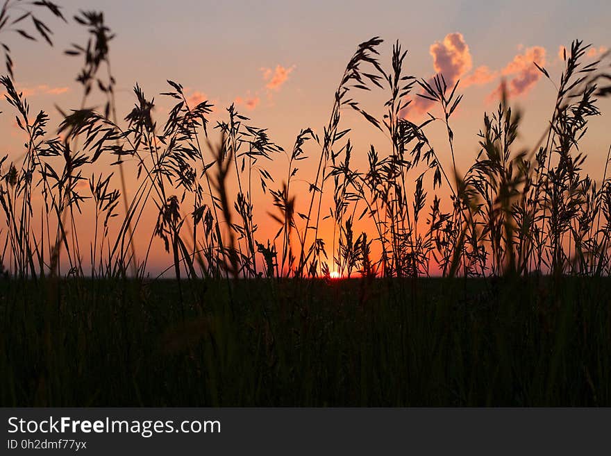 Attending the Sunset