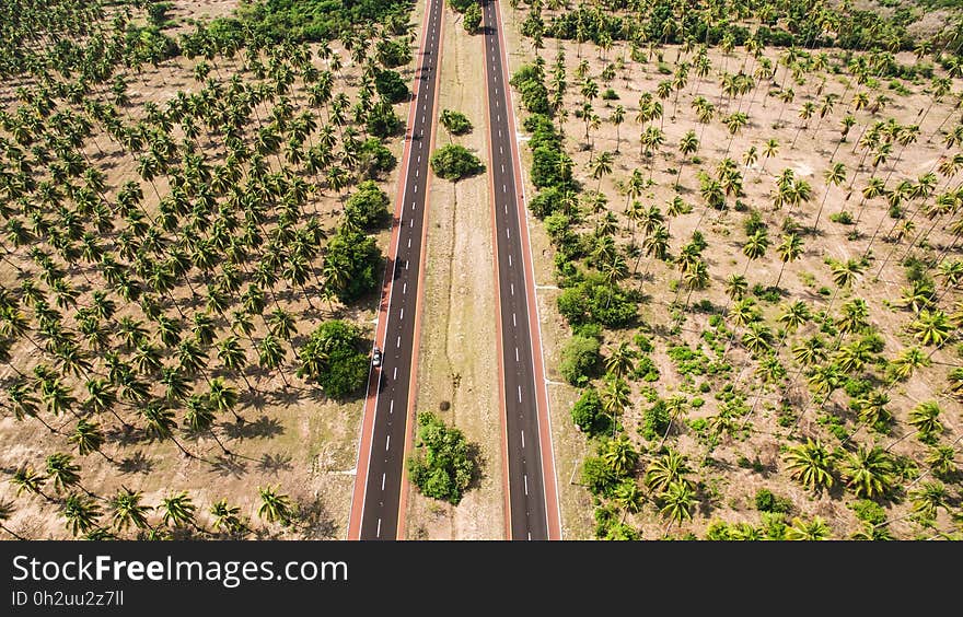 Aerial Photo of Two Gray Roads Surrounded by Trees